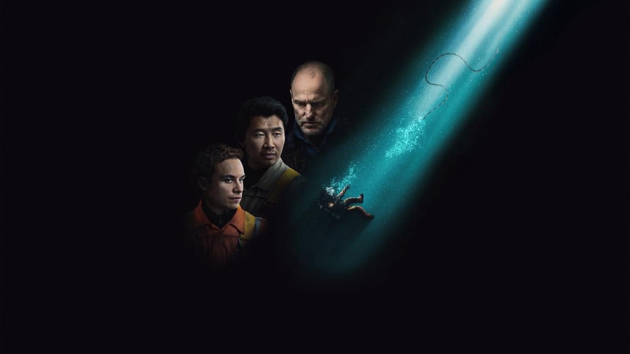 Pinguim